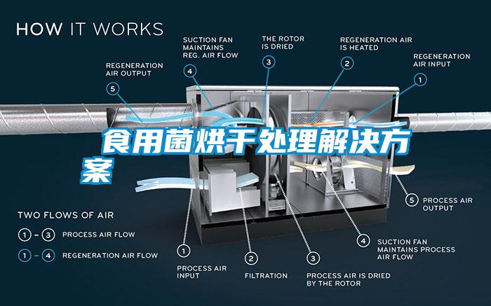  食用菌烘干處理解決方案