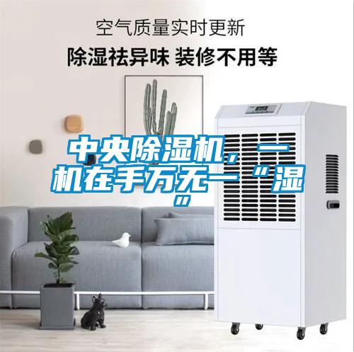 中央除濕機，一機在手萬無一“濕”