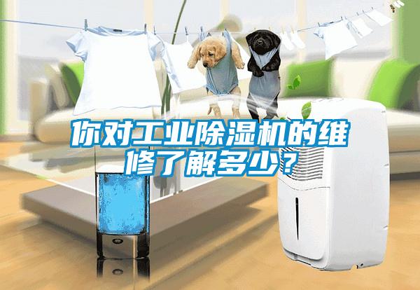 你對(duì)工業(yè)除濕機(jī)的維修了解多少？