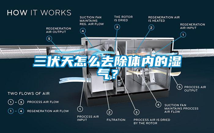 三伏天怎么去除體內(nèi)的濕氣？