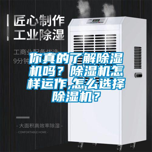 你真的了解除濕機(jī)嗎？除濕機(jī)怎樣運(yùn)作,怎么選擇除濕機(jī)？