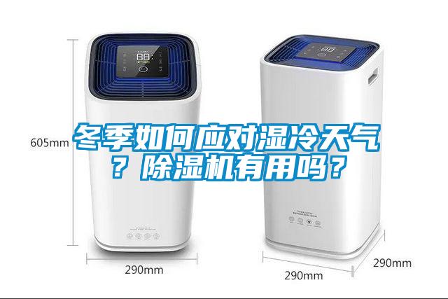 冬季如何應(yīng)對(duì)濕冷天氣？除濕機(jī)有用嗎？