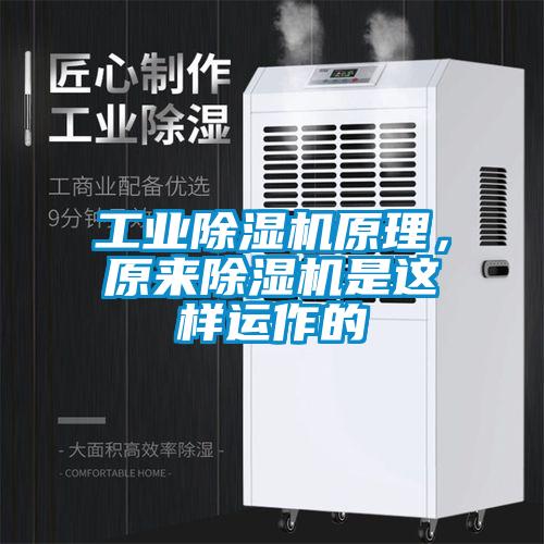 工業(yè)除濕機(jī)原理，原來除濕機(jī)是這樣運(yùn)作的