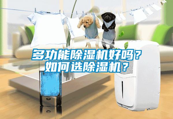 多功能除濕機好嗎？如何選除濕機？