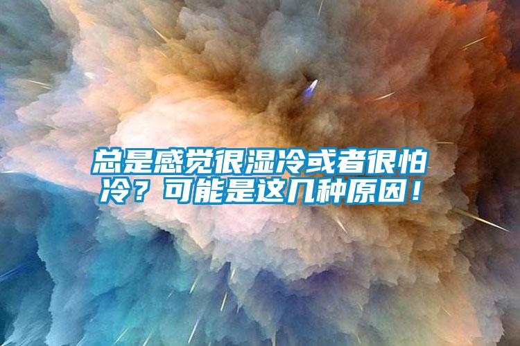 總是感覺很濕冷或者很怕冷？可能是這幾種原因！