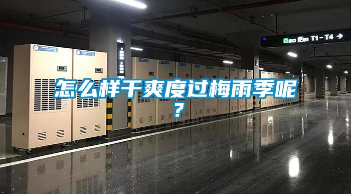 怎么樣干爽度過(guò)梅雨季呢？