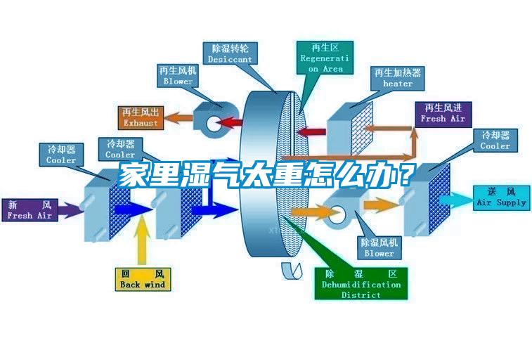 家里濕氣太重怎么辦？