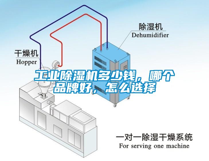 工業(yè)除濕機(jī)多少錢，哪個(gè)品牌好，怎么選擇