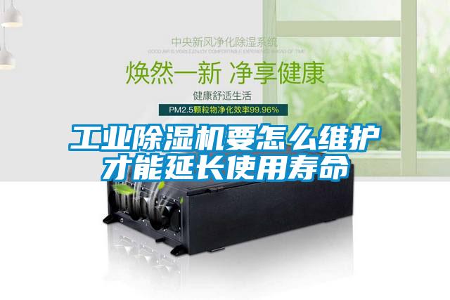 工業(yè)除濕機要怎么維護才能延長使用壽命