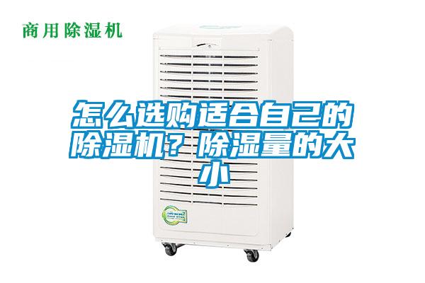 怎么選購適合自己的除濕機(jī)？除濕量的大小