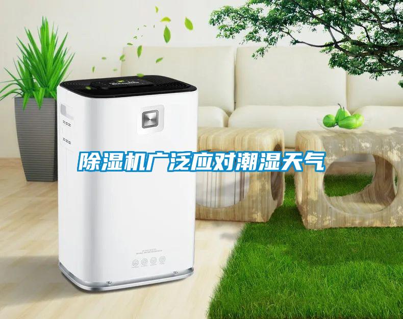 除濕機廣泛應對潮濕天氣