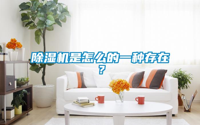 除濕機是怎么的一種存在？