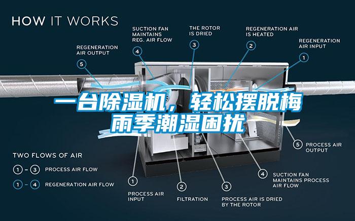 一臺(tái)除濕機(jī)，輕松擺脫梅雨季潮濕困擾