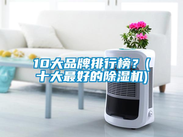 10大品牌排行榜？(十大最好的除濕機(jī))