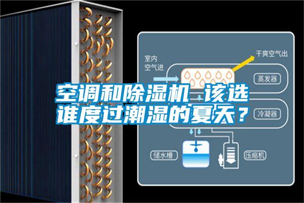空調(diào)和除濕機(jī) 該選誰(shuí)度過(guò)潮濕的夏天？