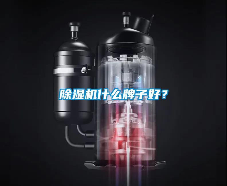 除濕機什么牌子好？