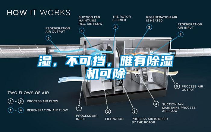 濕，不可擋，唯有除濕機(jī)可除