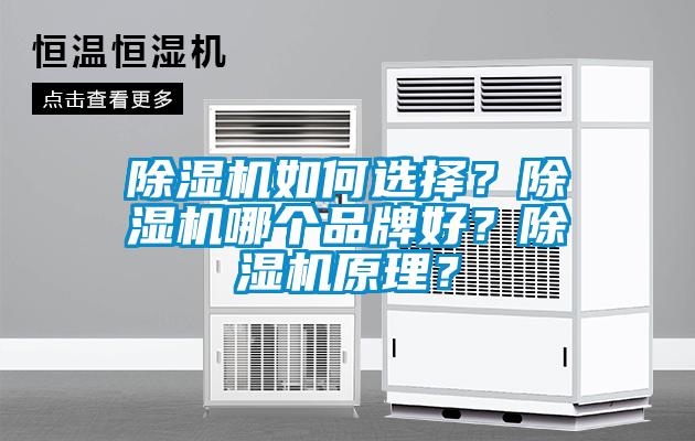 除濕機(jī)如何選擇？除濕機(jī)哪個品牌好？除濕機(jī)原理？