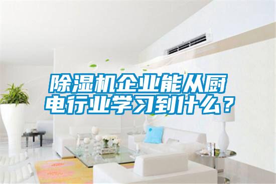 除濕機企業(yè)能從廚電行業(yè)學習到什么？