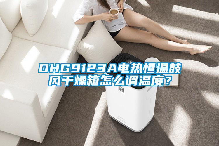 DHG9123A電熱恒溫鼓風(fēng)干燥箱怎么調(diào)溫度？