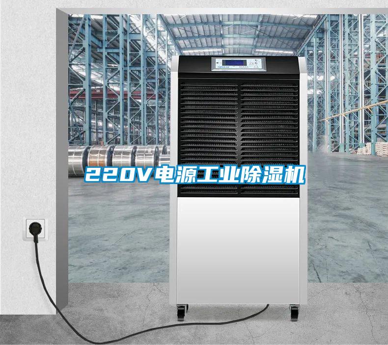 220V電源工業(yè)除濕機(jī)