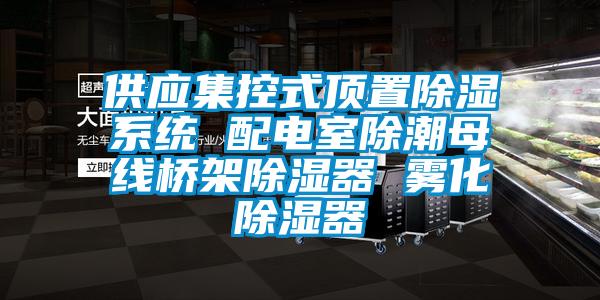 供應集控式頂置除濕系統(tǒng) 配電室除潮母線橋架除濕器 霧化除濕器