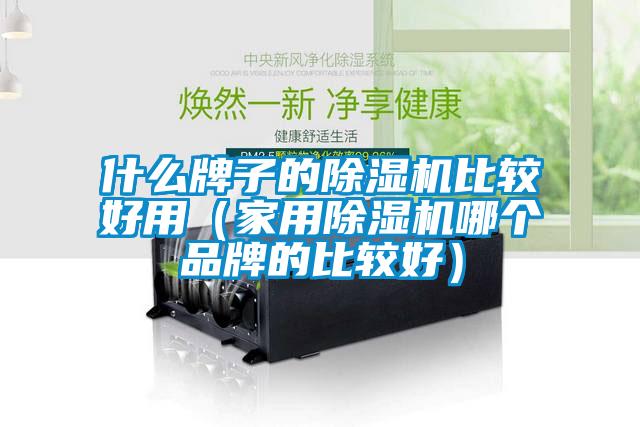 什么牌子的除濕機(jī)比較好用（家用除濕機(jī)哪個品牌的比較好）