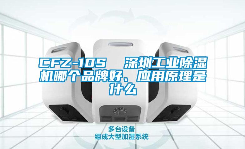 CFZ-10S  深圳工業(yè)除濕機哪個品牌好、應用原理是什么