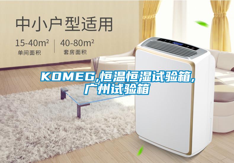 KOMEG,恒溫恒濕試驗(yàn)箱,廣州試驗(yàn)箱