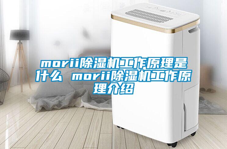 morii除濕機工作原理是什么 morii除濕機工作原理介紹