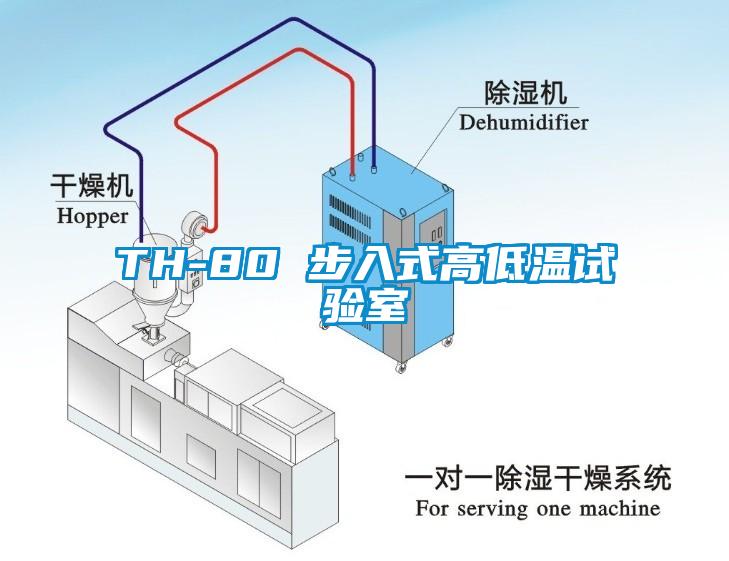 TH-80 步入式高低溫試驗室