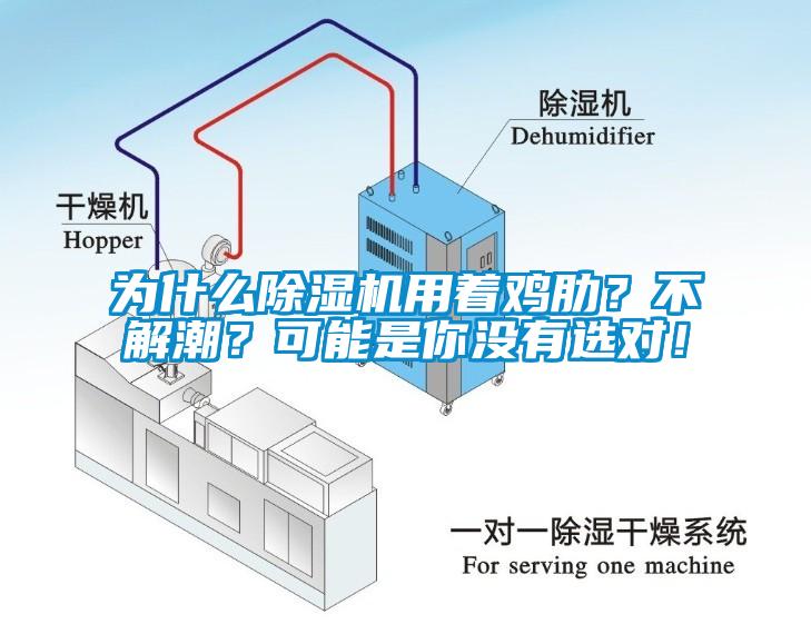 為什么除濕機用著雞肋？不解潮？可能是你沒有選對！