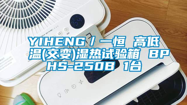 YIHENG／一恒 高低溫(交變)濕熱試驗(yàn)箱 BPHS-250B 1臺(tái)