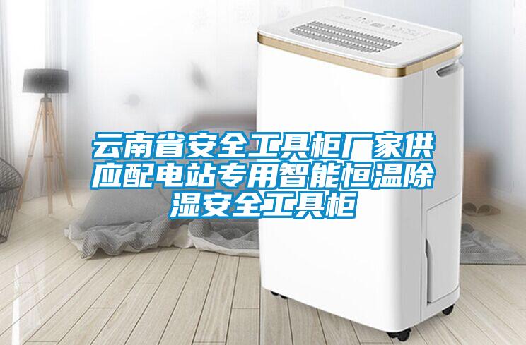 云南省安全工具柜廠家供應配電站專用智能恒溫除濕安全工具柜