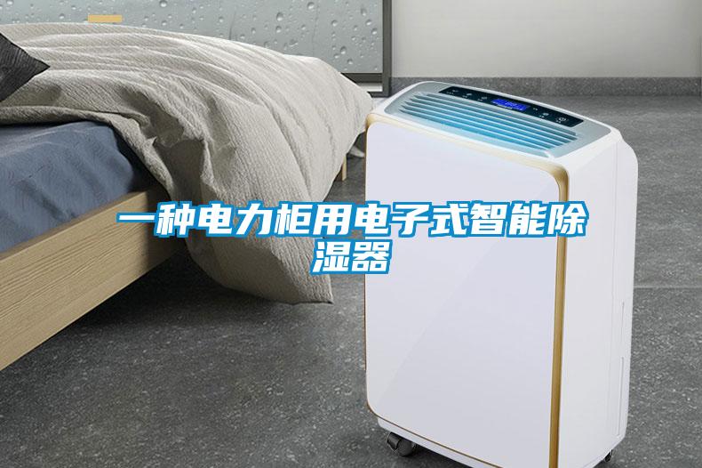 一種電力柜用電子式智能除濕器