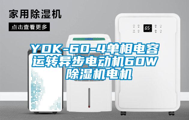 YDK-60-4單相電容運(yùn)轉(zhuǎn)異步電動機(jī)60W 除濕機(jī)電機(jī)