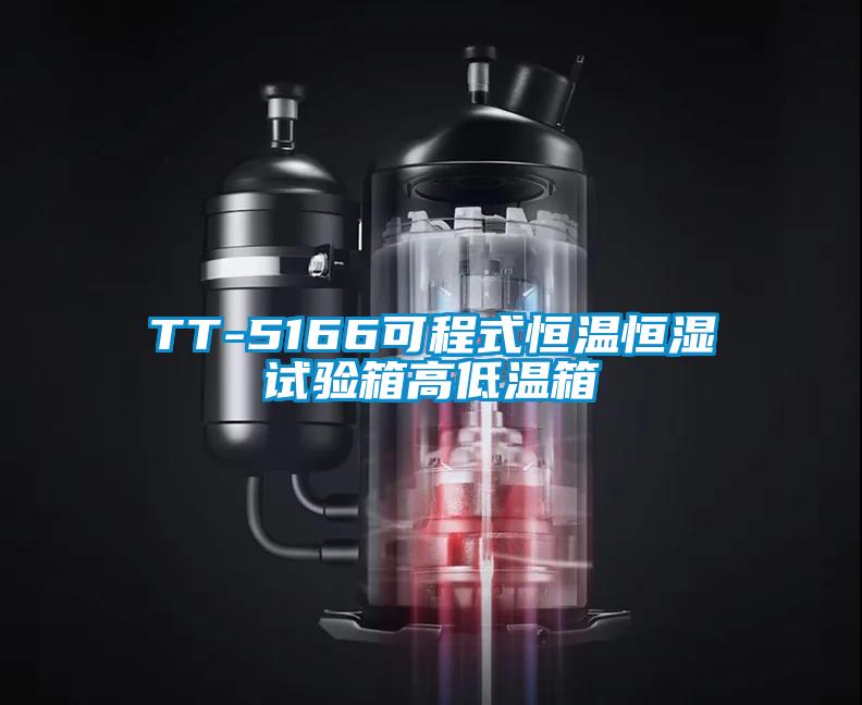 TT-5166可程式恒溫恒濕試驗箱高低溫箱