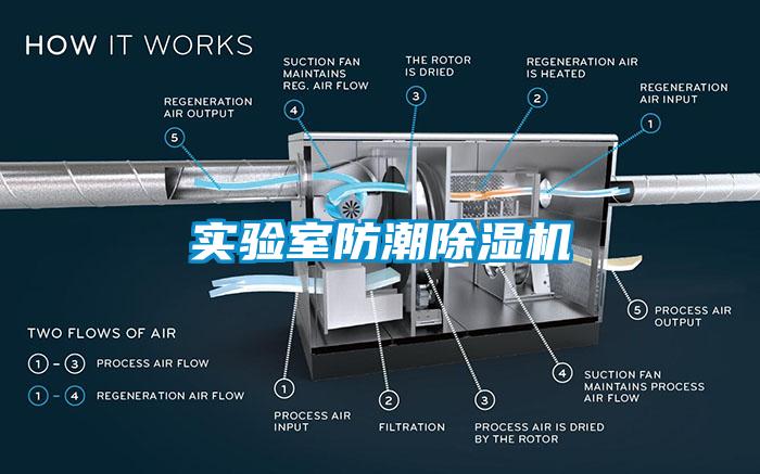 實驗室防潮除濕機(jī)