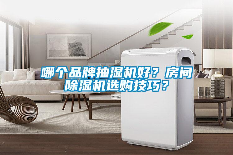 哪個品牌抽濕機(jī)好？房間除濕機(jī)選購技巧？