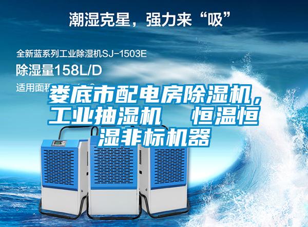 婁底市配電房除濕機(jī)，工業(yè)抽濕機(jī)  恒溫恒濕非標(biāo)機(jī)器