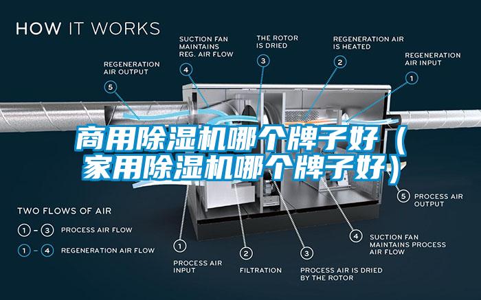 商用除濕機(jī)哪個(gè)牌子好（家用除濕機(jī)哪個(gè)牌子好）