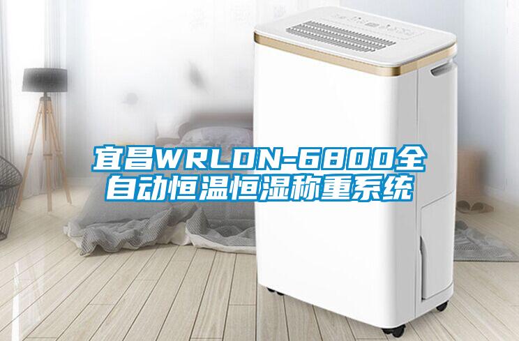 宜昌WRLDN-6800全自動恒溫恒濕稱重系統(tǒng)