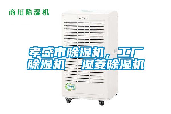 孝感市除濕機，工廠除濕機  濕菱除濕機