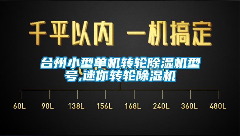 臺州小型單機轉輪除濕機型號,迷你轉輪除濕機