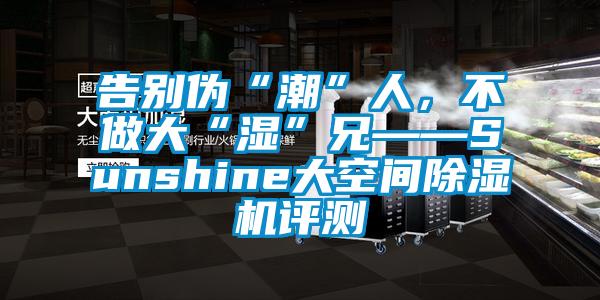 告別偽“潮”人，不做大“濕”兄——Sunshine大空間除濕機評測