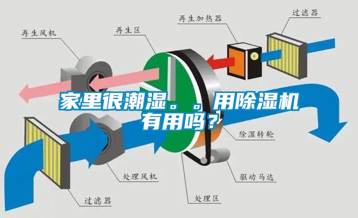 家里很潮濕。。用除濕機(jī)有用嗎？