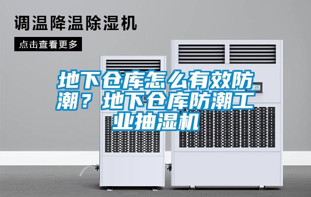 地下倉庫怎么有效防潮？地下倉庫防潮工業(yè)抽濕機