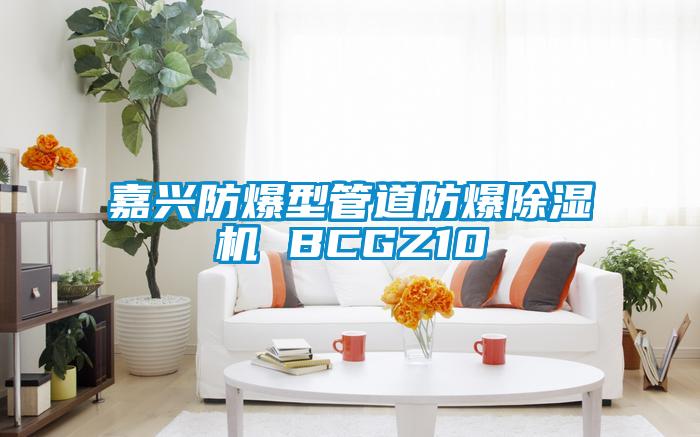 嘉興防爆型管道防爆除濕機(jī) BCGZ10