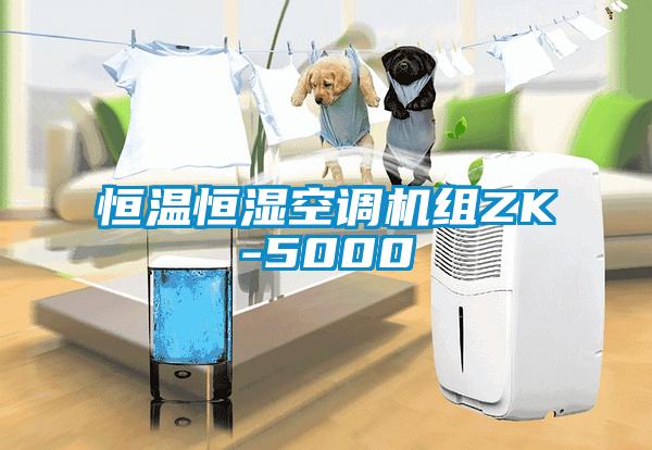 恒溫恒濕空調(diào)機(jī)組ZK-5000