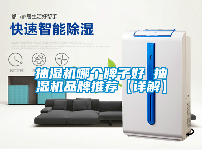 抽濕機哪個牌子好 抽濕機品牌推薦【詳解】